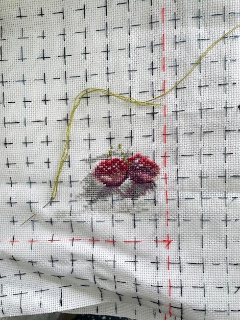 pânză brodată cu model